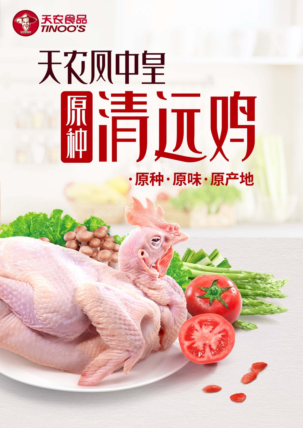 天农清远鸡宣传广告图片 (1).jpg